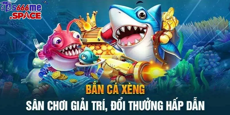 ban ca xeng anh dai dien